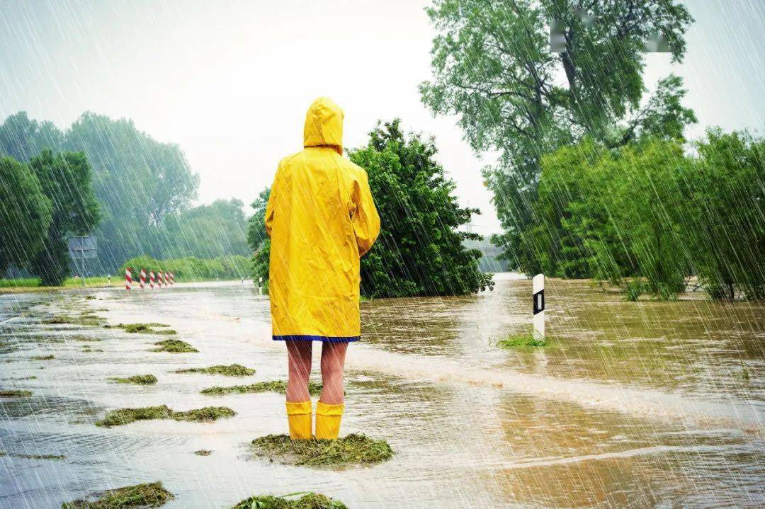 雨有什么区别？它们的英文可不止是rain！尊龙凯时ag旗舰厅登录暴雨、大雨、倾盆大(图5)